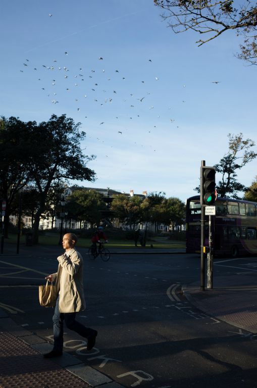 The image is in portrait format. In the left foreground a man walks left over a traffic light crossing in business attire and is luminated by a low morning sunrise. The blue sky is filled with a flock of pigeons.