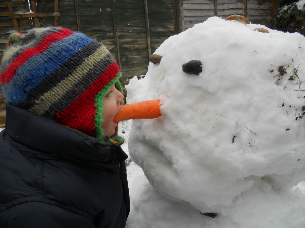 Biting the nose off the snowman.
