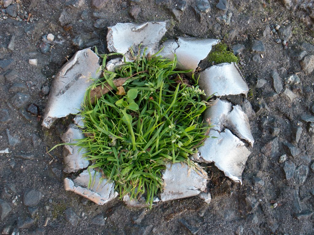 Grass grows from the centre of a removed bollard in Portslade, Brighton.