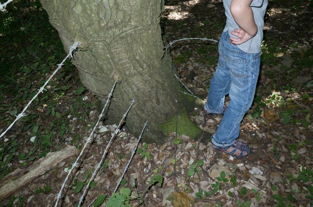 The landscape photograph is dominated by a tree trunk that has grown over four lines of barbed wire fence. A young boy in jeans and trainer sandels who is cropped at the shoulder stands to the right of the tree trunk facing away from it.