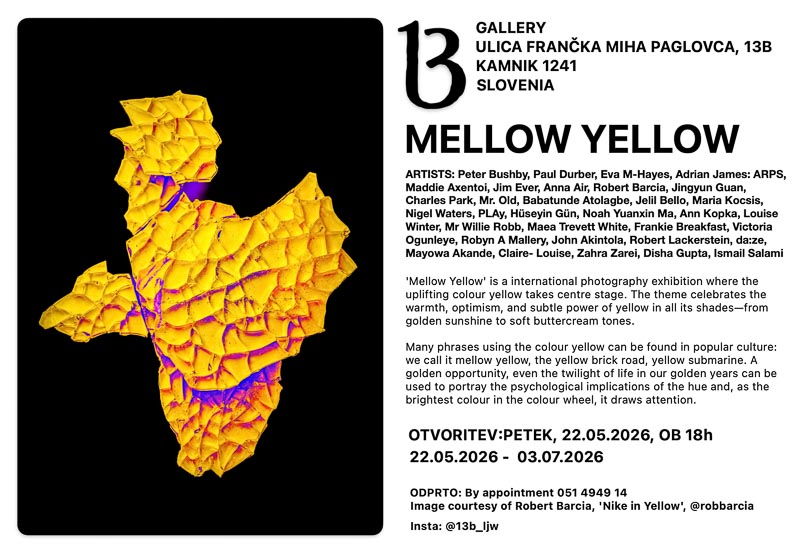 Mellow Yellow exhibition flyer at 13B Gallery