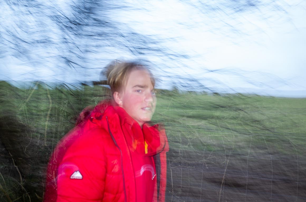 Windy Walk, 2022