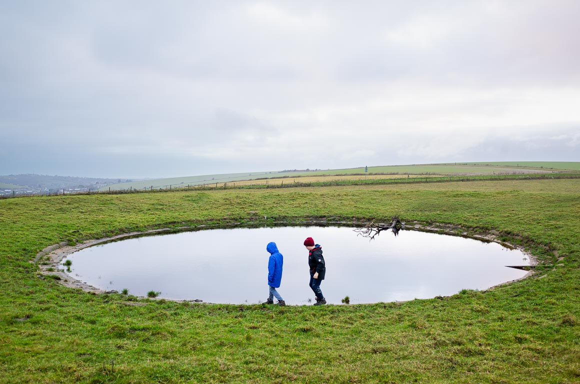 Dew pond, 2020