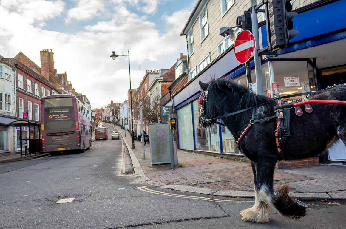 Horse Power, 2024